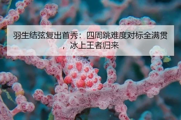 羽生结弦复出首秀：四周跳难度对标全满贯，冰上王者归来