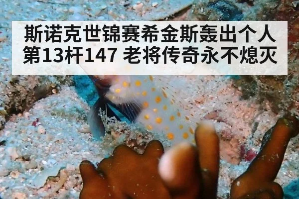 斯诺克世锦赛希金斯轰出个人第13杆147 老将传奇永不熄灭