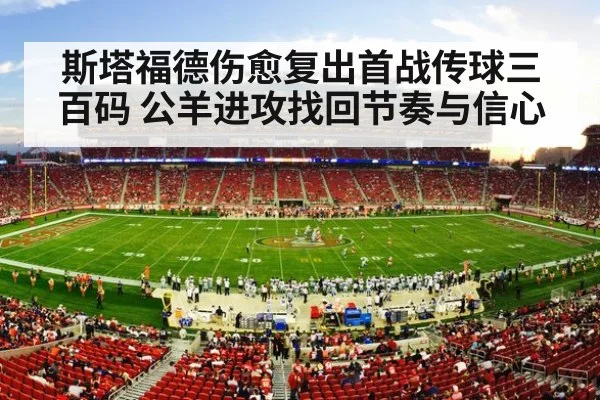 american football stadium crowd
